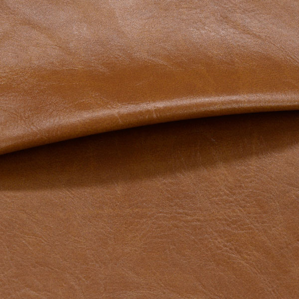 Camel 62
